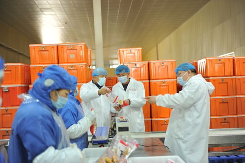 辽宁锦州对食品生产企业开展节前食品安全检查